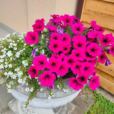 Studio Apartman The Little Prince Apartmani Borik Bjelovar Exterior photo